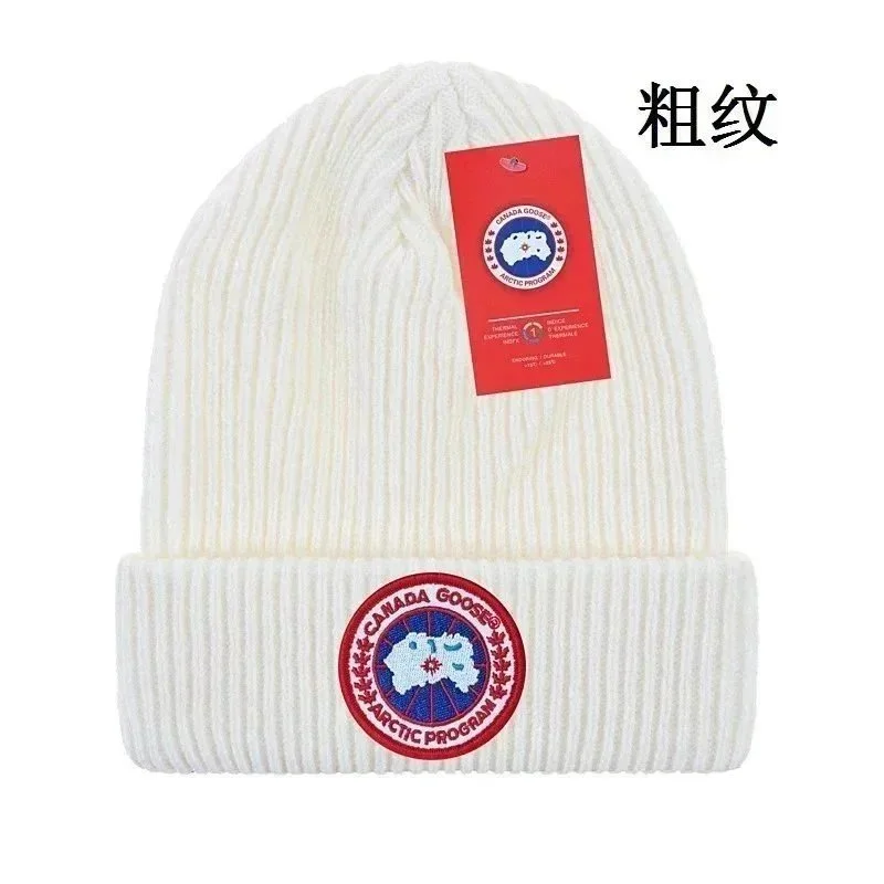 Canada Goose Arctic Program Beanie White